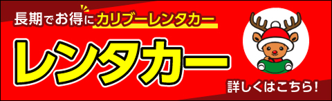 レンタカー